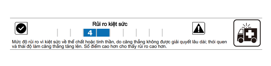 Báo cáo mẫu về Chỉ số Rủi ro Kiệt sức