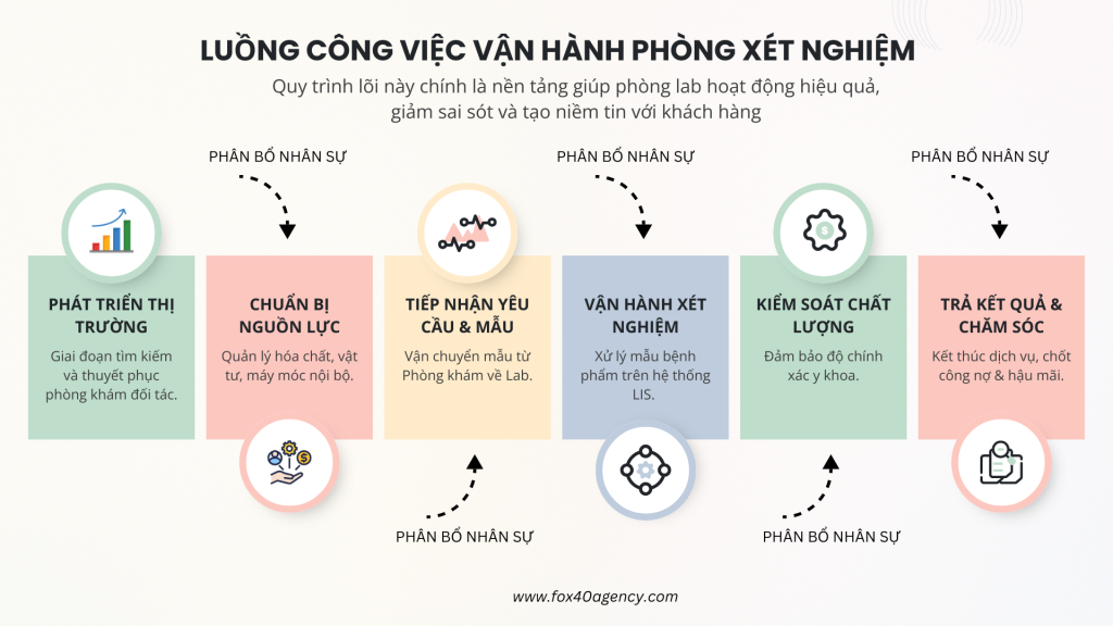 Giới thiệu quy trình lõi vận hành phòng lab y khoa.