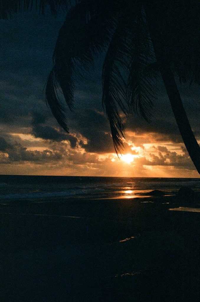 Dramatic sunset over the ocean with silhouetted palm trees.
